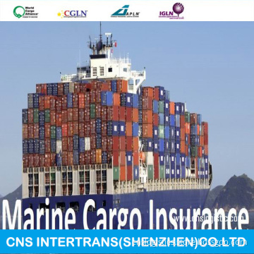 Customs&Insurance